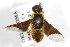  ( - DP-OUBS-0011)  @12 [ ] CreativeCommons - Attribution (2010) Unspecified Centre for Biodiversity Genomics