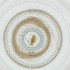  ( - OUMK_005_F7)  @11 [ ] by  Genome Research Ltd as Wellcome Sanger Institute Genome Research Limited operating as Wellcome Sanger Institute
