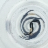  ( - OUMK_030_B10)  @11 [ ] by  Genome Research Ltd as Wellcome Sanger Institute Genome Research Limited operating as Wellcome Sanger Institute