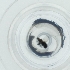  ( - OUMK_032_D4)  @11 [ ] by  Genome Research Ltd as Wellcome Sanger Institute Genome Research Limited operating as Wellcome Sanger Institute