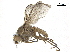  ( - BIOUG26545-E12)  @13 [ ] CreativeCommons - Attribution (2019) CBG Photography Group Centre for Biodiversity Genomics