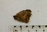  ( - OXB-TGS-1257)  @12 [ ] No Rights Reserved (2016) Joseph Middleton Welling Oxford Brookes University