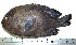  ( - OXF10)  @13 [ ] Unspecified (default): All Rights Reserved  Unspecified Unspecified