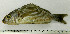  ( - OXF11)  @13 [ ] Unspecified (default): All Rights Reserved  Unspecified Unspecified