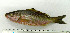  ( - OXF111)  @13 [ ] Unspecified (default): All Rights Reserved  Unspecified Unspecified