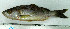  ( - OXF113)  @13 [ ] Unspecified (default): All Rights Reserved  Unspecified Unspecified