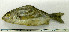  ( - OXF12)  @13 [ ] Unspecified (default): All Rights Reserved  Unspecified Unspecified
