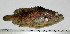  ( - OXF29)  @13 [ ] Unspecified (default): All Rights Reserved  Unspecified Unspecified