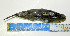  ( - OXF33)  @13 [ ] Unspecified (default): All Rights Reserved  Unspecified Unspecified