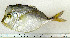  ( - OXF41)  @14 [ ] Unspecified (default): All Rights Reserved  Unspecified Unspecified