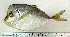  ( - OXF42)  @13 [ ] Unspecified (default): All Rights Reserved  Unspecified Unspecified