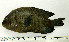  ( - OXF8)  @13 [ ] Unspecified (default): All Rights Reserved  Unspecified Unspecified
