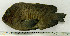 ( - OXF9)  @12 [ ] Unspecified (default): All Rights Reserved  Unspecified Unspecified