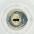  ( - MOZZ00000847A_E4)  @11 [ ] by  Genome Research Ltd as Wellcome Sanger Institute Genome Research Limited operating as Wellcome Sanger Institute