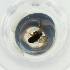  ( - MOZZ00000849A_B12)  @11 [ ] by  Genome Research Ltd as Wellcome Sanger Institute Genome Research Limited operating as Wellcome Sanger Institute
