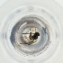  ( - MOZZ00000849A_D3)  @11 [ ] by  Genome Research Ltd as Wellcome Sanger Institute Genome Research Limited operating as Wellcome Sanger Institute