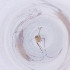 ( - MOZZ00000880A_G5)  @11 [ ] by  Genome Research Ltd as Wellcome Sanger Institute Genome Research Limited operating as Wellcome Sanger Institute