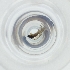  ( - MOZZ00000881A_B10)  @11 [ ] by  Genome Research Ltd as Wellcome Sanger Institute Genome Research Limited operating as Wellcome Sanger Institute