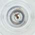  ( - MOZZ00000881A_C9)  @11 [ ] by  Genome Research Ltd as Wellcome Sanger Institute Genome Research Limited operating as Wellcome Sanger Institute