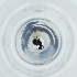  ( - MOZZ00000966A_E5)  @11 [ ] by  Genome Research Ltd as Wellcome Sanger Institute Genome Research Limited operating as Wellcome Sanger Institute