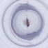  ( - MOZZ00000968A_D4)  @11 [ ] by  Genome Research Ltd as Wellcome Sanger Institute Genome Research Limited operating as Wellcome Sanger Institute