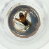  ( - MOZZ00000970A_B11)  @11 [ ] by  Genome Research Ltd as Wellcome Sanger Institute Genome Research Limited operating as Wellcome Sanger Institute