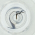  ( - MOZZ00000972A_B4)  @11 [ ] by  Genome Research Ltd as Wellcome Sanger Institute Genome Research Limited operating as Wellcome Sanger Institute