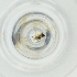  ( - MOZZ00000972A_B9)  @11 [ ] by  Genome Research Ltd as Wellcome Sanger Institute Genome Research Limited operating as Wellcome Sanger Institute