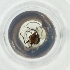  ( - MOZZ00000972A_E6)  @11 [ ] by  Genome Research Ltd as Wellcome Sanger Institute Genome Research Limited operating as Wellcome Sanger Institute