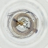  ( - MOZZ00000972A_F8)  @11 [ ] by  Genome Research Ltd as Wellcome Sanger Institute Genome Research Limited operating as Wellcome Sanger Institute