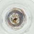  ( - MOZZ00000972A_H2)  @11 [ ] by  Genome Research Ltd as Wellcome Sanger Institute Genome Research Limited operating as Wellcome Sanger Institute