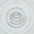  ( - MOZZ00000973A_C5)  @11 [ ] by  Genome Research Ltd as Wellcome Sanger Institute Genome Research Limited operating as Wellcome Sanger Institute