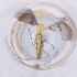  ( - MOZZ00000974A_A8)  @11 [ ] by  Genome Research Ltd as Wellcome Sanger Institute Genome Research Limited operating as Wellcome Sanger Institute