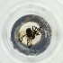  ( - OXWW_001_F3)  @11 [ ] by  Genome Research Ltd as Wellcome Sanger Institute Genome Research Limited operating as Wellcome Sanger Institute