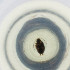  ( - OXWW_008_B5)  @11 [ ] by  Genome Research Ltd as Wellcome Sanger Institute Genome Research Limited operating as Wellcome Sanger Institute