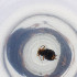  ( - OXWW_009_D2)  @11 [ ] by  Genome Research Ltd as Wellcome Sanger Institute Genome Research Limited operating as Wellcome Sanger Institute