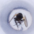  ( - OXWW_012_H3)  @11 [ ] by  Genome Research Ltd as Wellcome Sanger Institute Genome Research Limited operating as Wellcome Sanger Institute