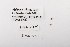 ( - DNA6209)  @11 [ ] CreativeCommons - Attribution Share-Alike (2025) Wendy Moore University of Arizona, Insect Collection