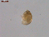  ( - BIOUG00334-D09)  @12 [ ] Unspecified (default): All Rights Reserved  Unspecified Unspecified