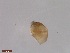  ( - BIOUG00334-D12)  @12 [ ] Unspecified (default): All Rights Reserved  Unspecified Unspecified