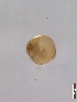  ( - BIOUG00334-G07)  @13 [ ] Unspecified (default): All Rights Reserved  Unspecified Unspecified