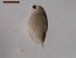  ( - BIOUG00334-H08)  @12 [ ] Unspecified (default): All Rights Reserved  Unspecified Unspecified