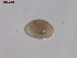  ( - BIOUG00335-D08)  @11 [ ] Unspecified (default): All Rights Reserved  Unspecified Unspecified