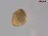  ( - BIOUG00335-E09)  @12 [ ] Unspecified (default): All Rights Reserved  Unspecified Unspecified