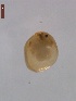  ( - BIOUG00335-G11)  @12 [ ] Unspecified (default): All Rights Reserved  Unspecified Unspecified
