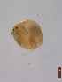  ( - BIOUG00335-H05)  @13 [ ] Unspecified (default): All Rights Reserved  Unspecified Unspecified