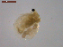  ( - BIOUG01320-C12)  @13 [ ] Unspecified (default): All Rights Reserved  Unspecified Unspecified