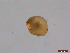  ( - BIOUG01320-G11)  @12 [ ] Unspecified (default): All Rights Reserved  Unspecified Unspecified