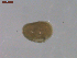  ( - BIOUG01321-C11)  @11 [ ] Unspecified (default): All Rights Reserved  Unspecified Unspecified