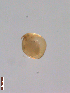  ( - BIOUG01321-E01)  @12 [ ] Unspecified (default): All Rights Reserved  Unspecified Unspecified